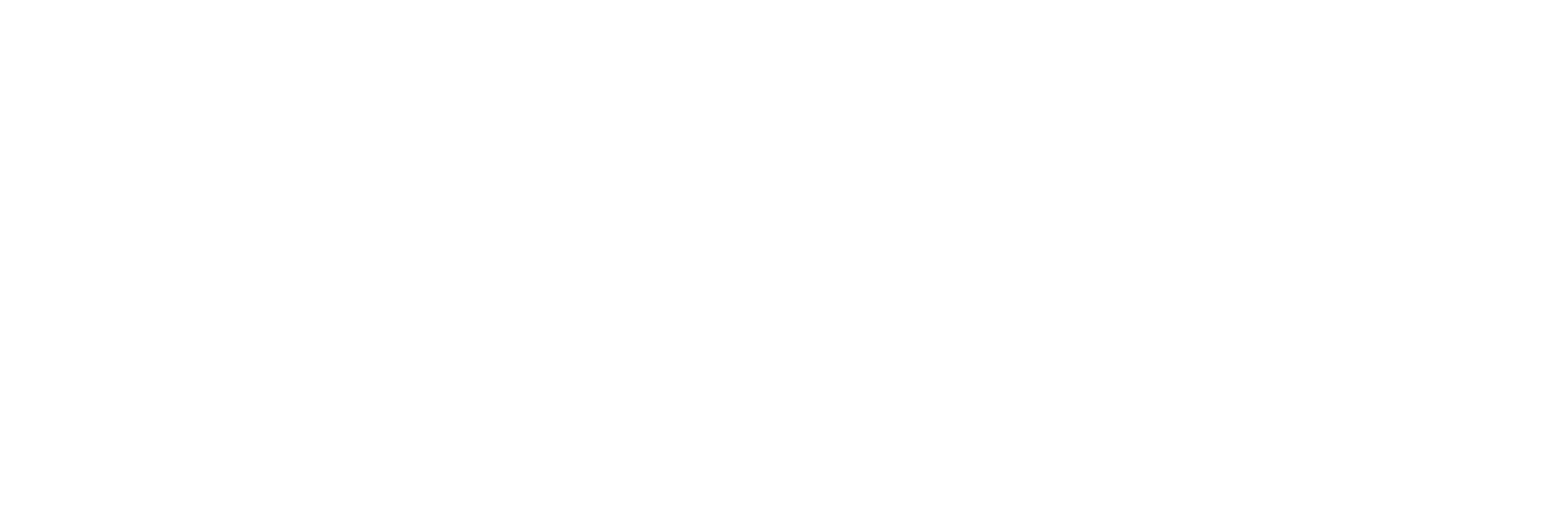 BIZNTL OPS